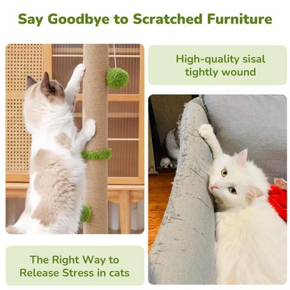 Tall Cat Scratcher for Indoor Cats