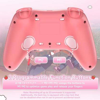 Kuitmor Pink Switch 2 Controller