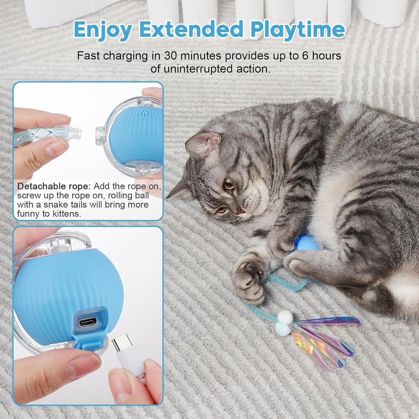 Interactive Cat Toys for Indoor Cats & Dogs