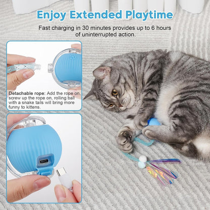 Interactive Cat Toys for Indoor Cats & Dogs