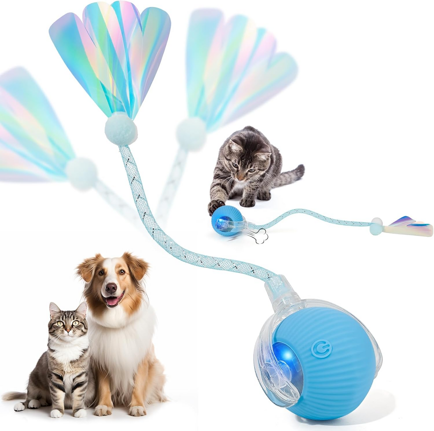 Interactive Cat Toys for Indoor Cats & Dogs