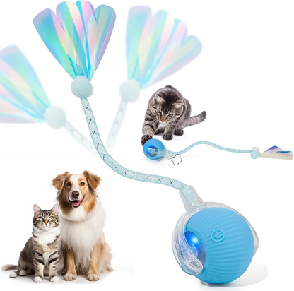 Interactive Cat Toys for Indoor Cats & Dogs