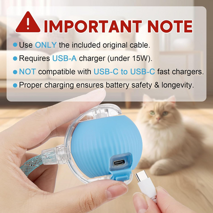 Interactive Cat Toys for Indoor Cats & Dogs